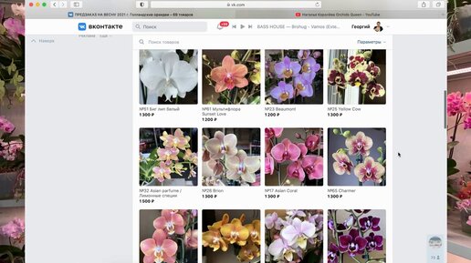 завоз НОВЫХ ОРХИДЕЙ и ПОКУПАЮ ОРХИДЕИ у Наташи Королёвой