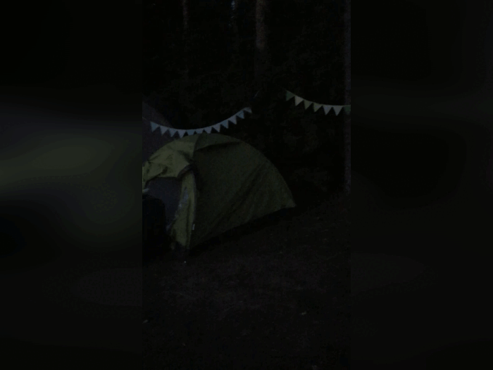 А палатки наши стояли прямо у воды. И, как мне объясняли, это часто способствует тому, что какие только звуки не мерещатся из-за того, что вода так близко...