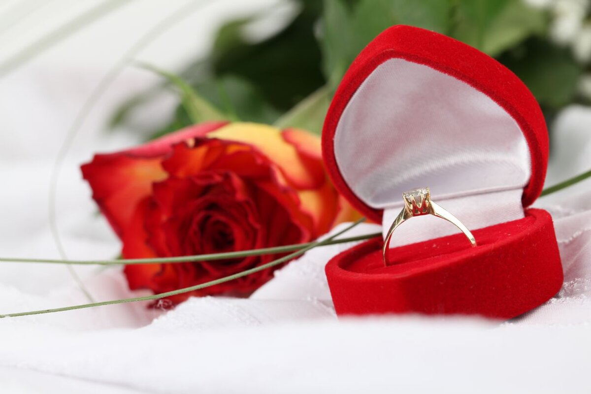 Предложение девушке кольцо и цветы