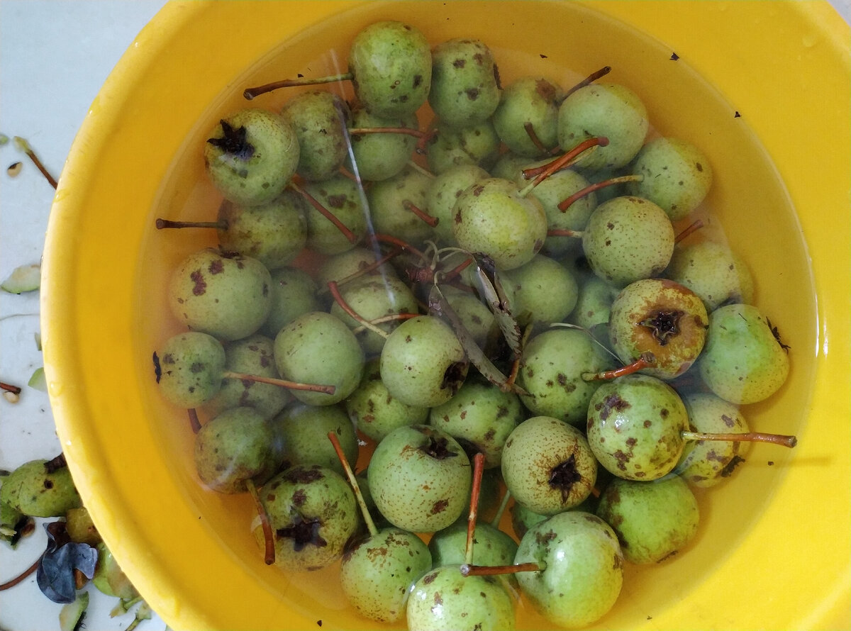 Помывочная