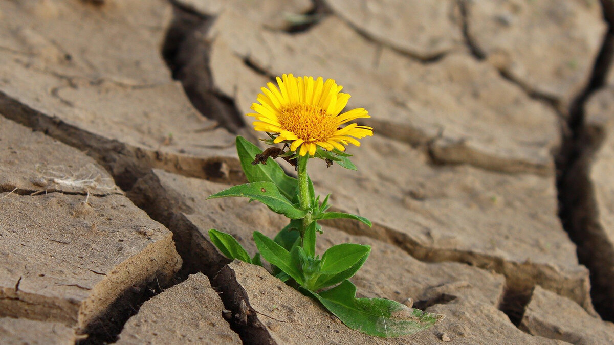 Вот что бывает, если забрать у себя фокус внимания