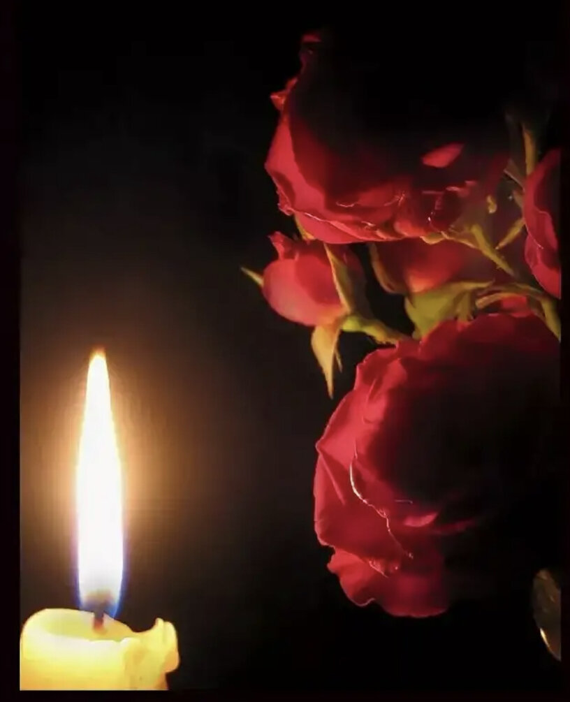 Яндекс картинки