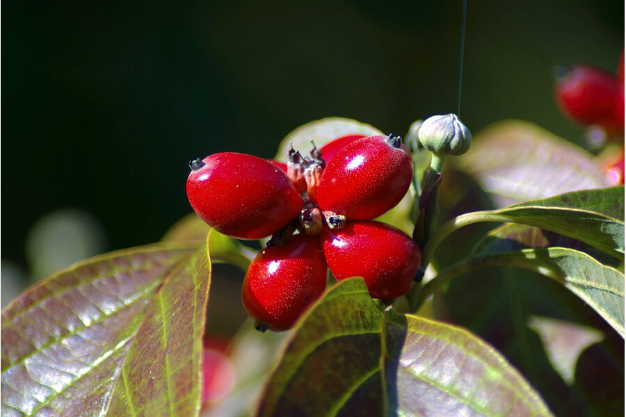 ФОТО из открытых источников