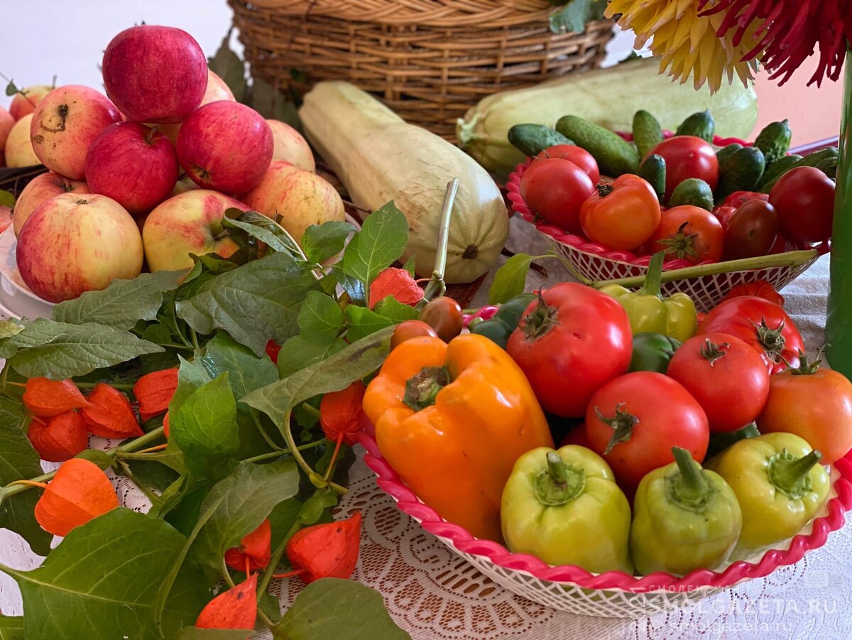 Фото: Мария Образцова