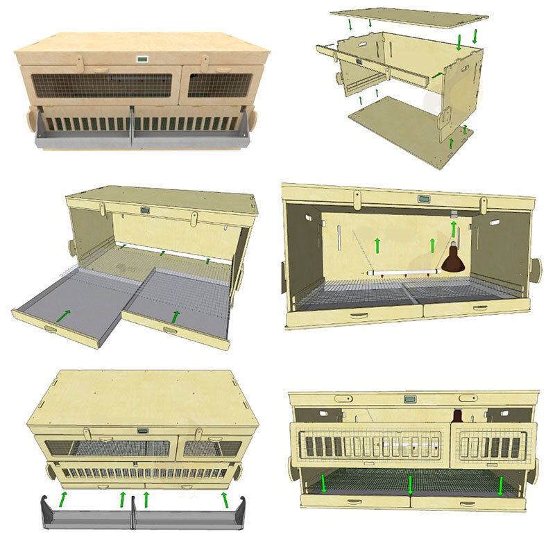 Как построить брудер для цыплят своими руками