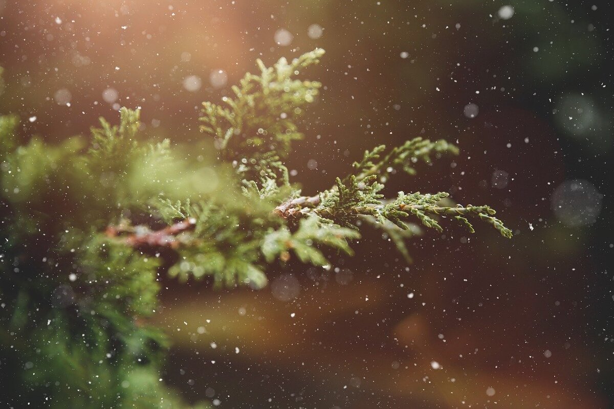 Рождество — один из самых светлых и чистых зимних праздников. Фото: Pixabay.com 