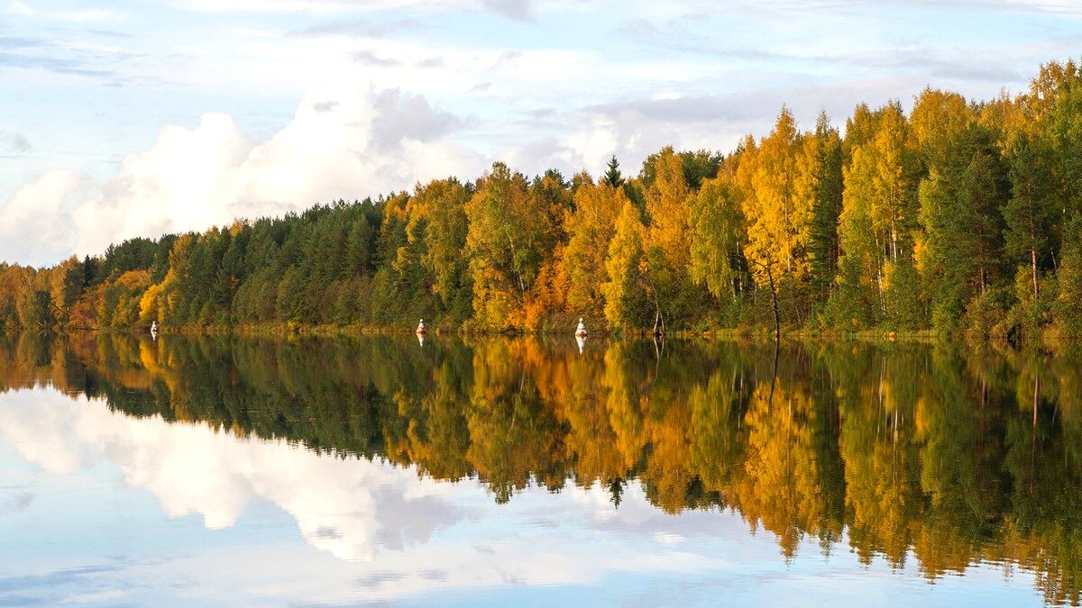 Фото с сайта nat-geo.ru