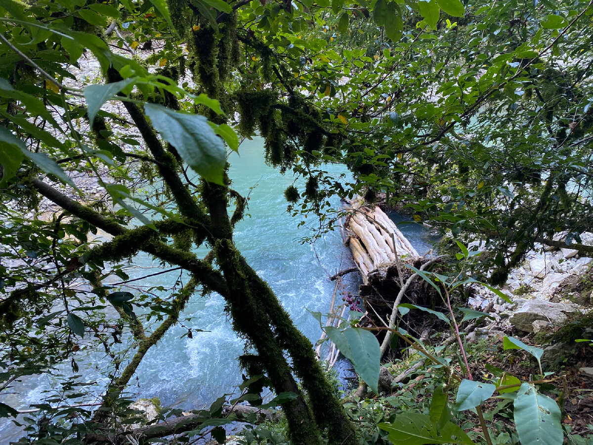 Фото автора. Мне казалось сегодня, что это - сон… Или кино