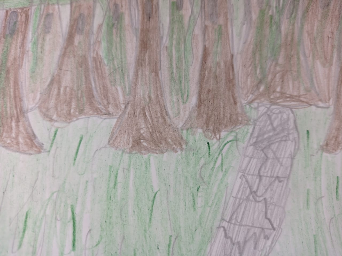 "Джунгли Забвения" в "Городе Морских Разбойников"