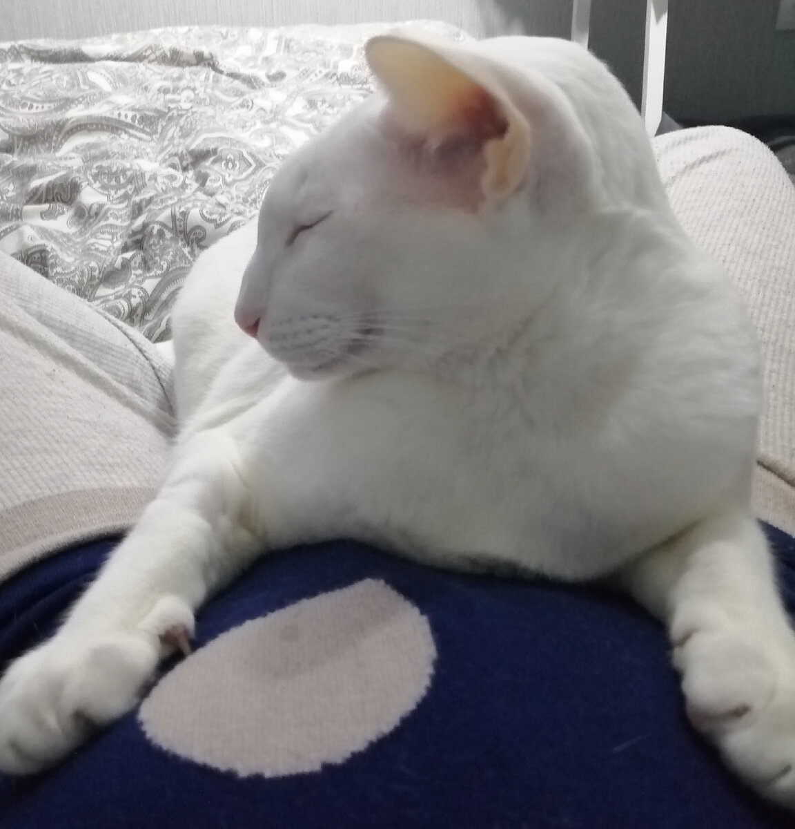 Авторское фото.