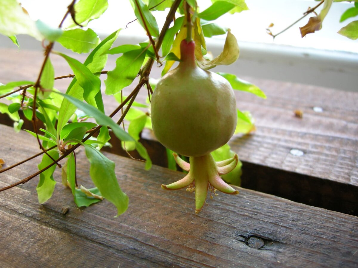 Фото автора для иллюстрации к тексту.