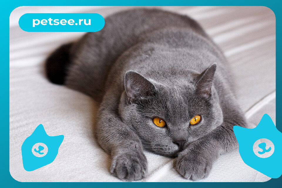 Источник: pixabay.com