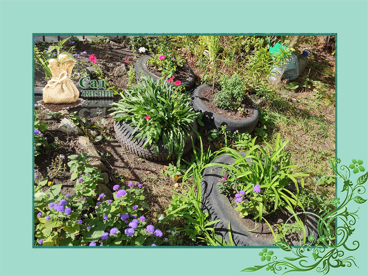 Цветники в покрышках.