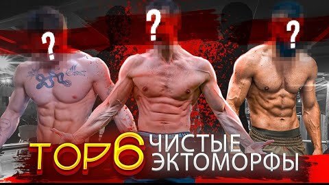 ТОП 6 | Фитнес-Блогеры Чистые Эктоморфы! (Характеристики Эктоморфа)