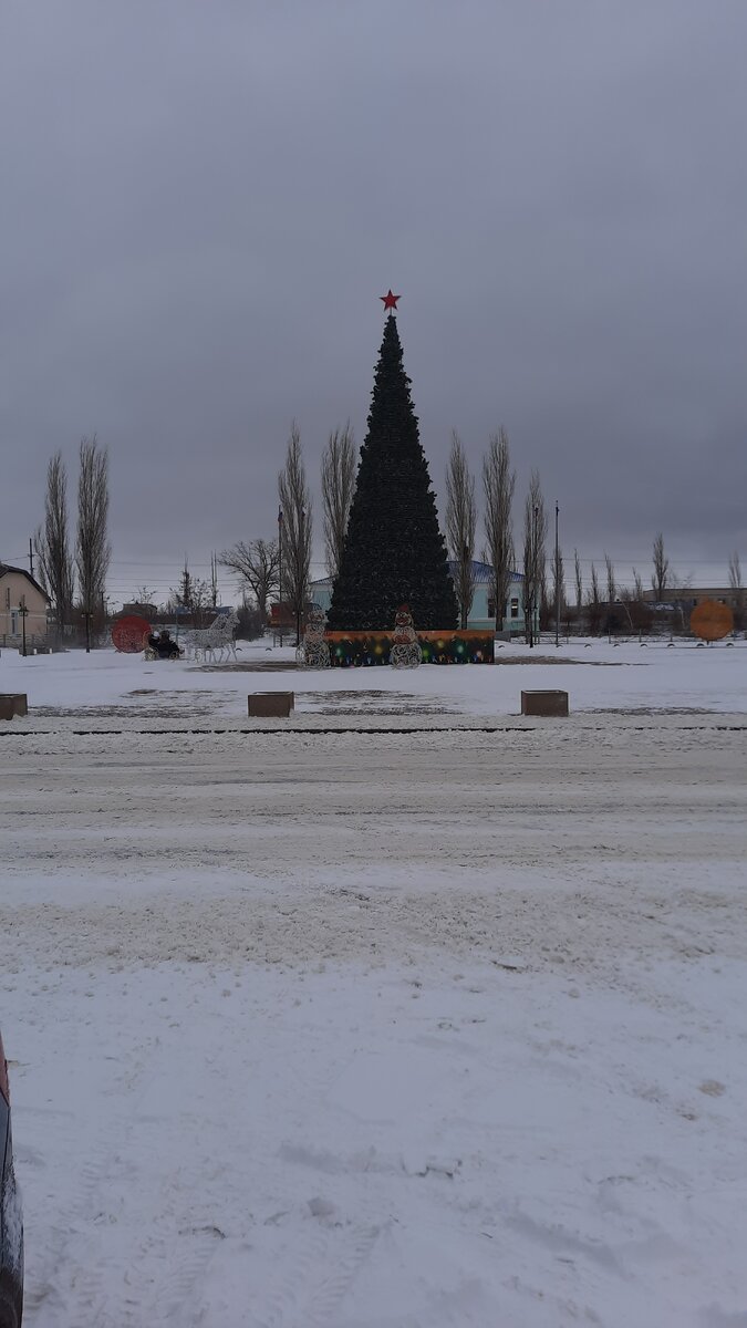 Городская ёлка