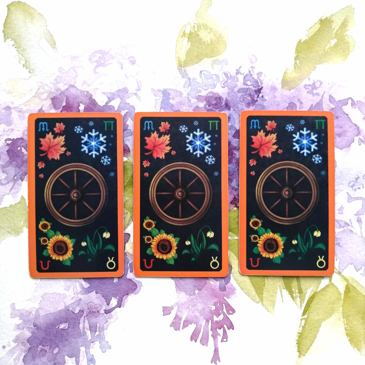 Личное фото автора.