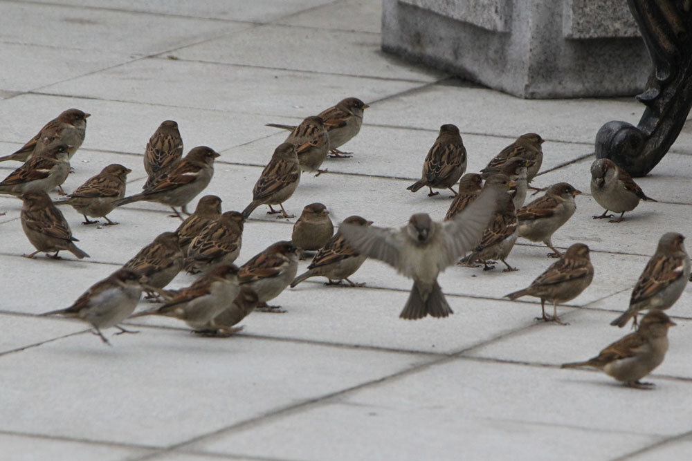 фото из инета