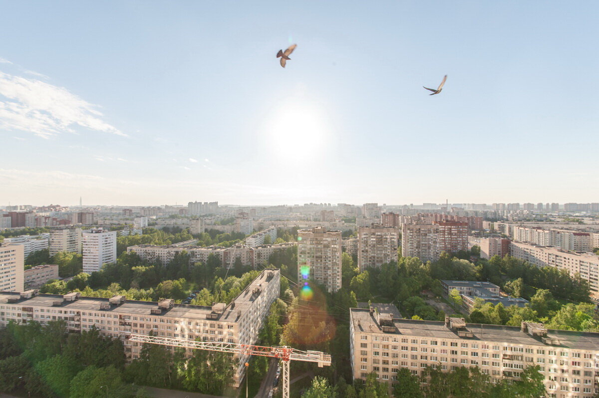 Вид на Выборгский район 