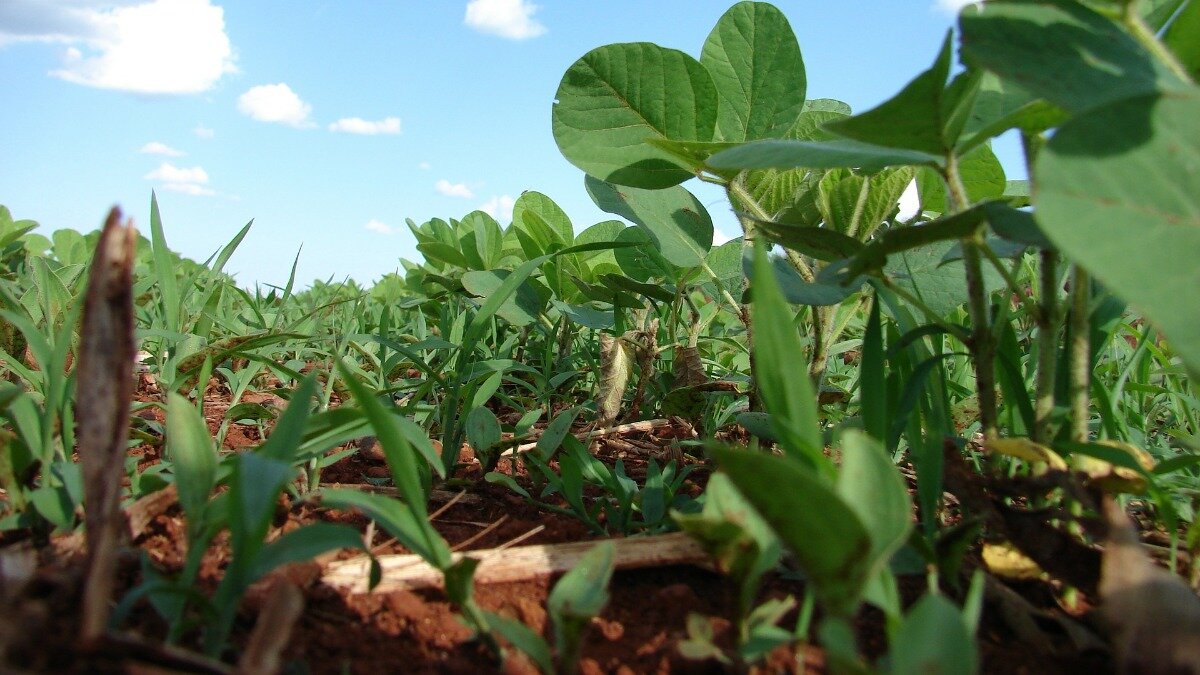 Фото:pixabay.com