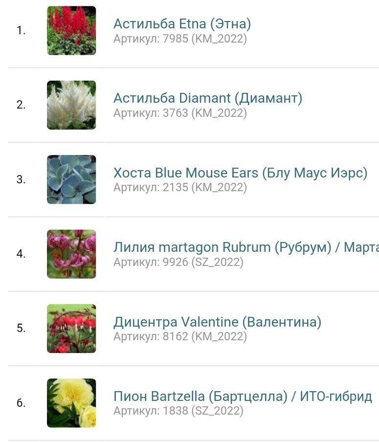 Мой заказ от 3 января 2022 года в интернет-магазине. Скрин автора. 