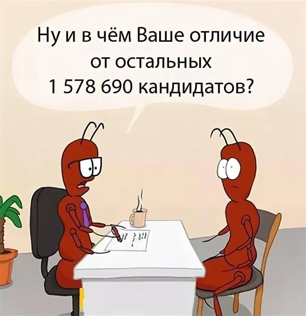 HR менеджер: кто это и его обязанности? | Креативная студия 