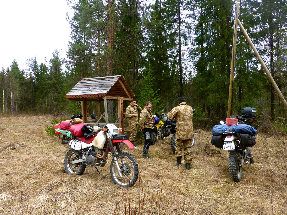 Обед в беседке (Галерея 2 фотографии)