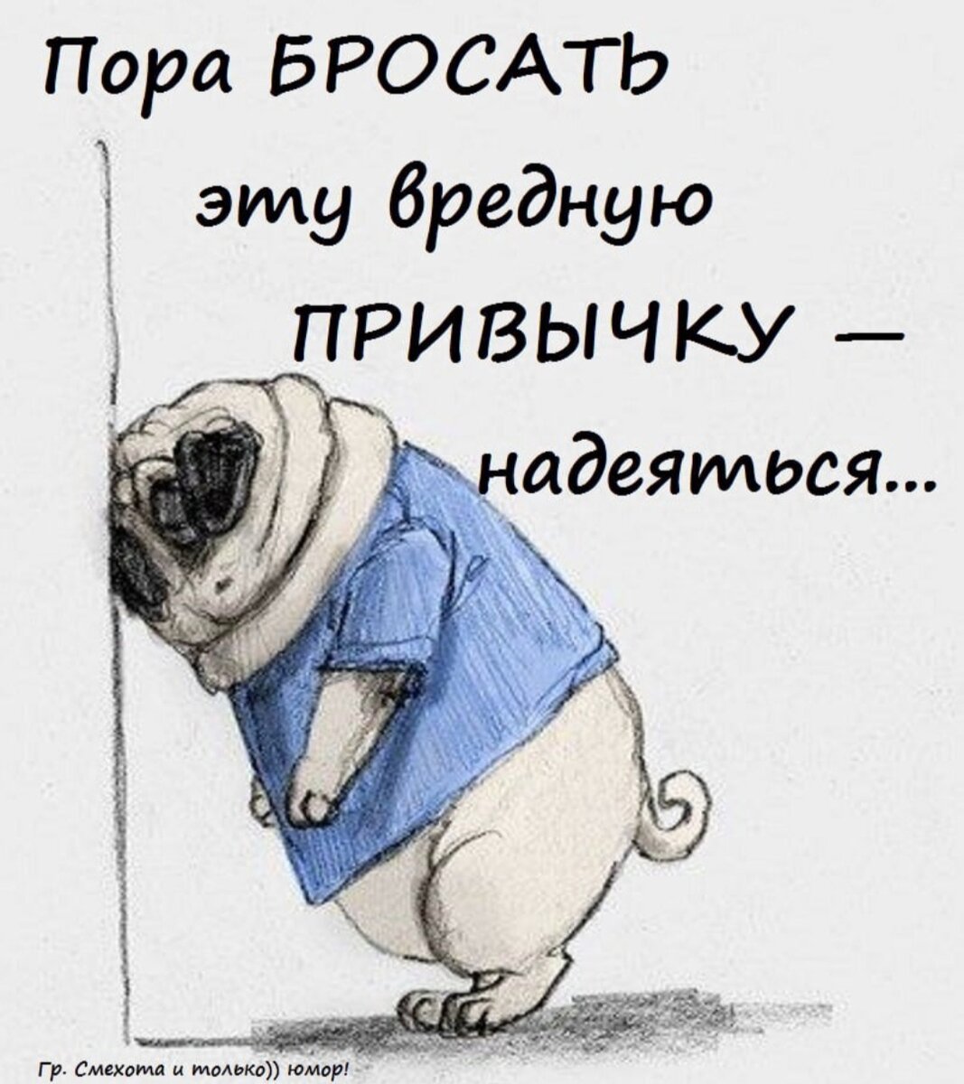 Картинка из интернета