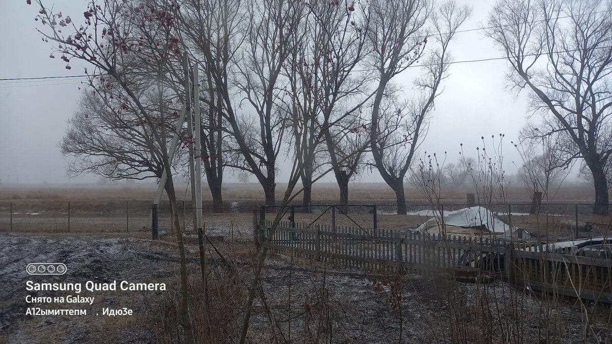 Вид из окна на стихающую метель. 