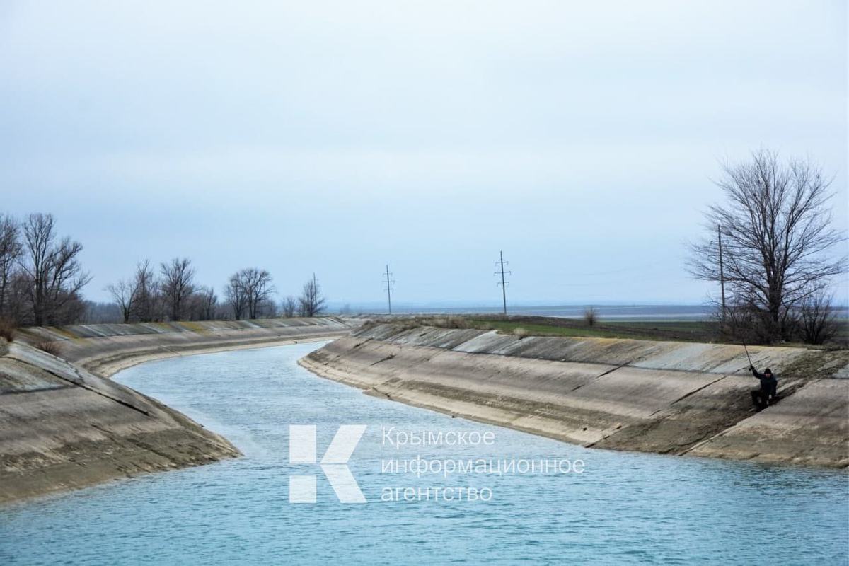  Фото: Гала Амарандо
