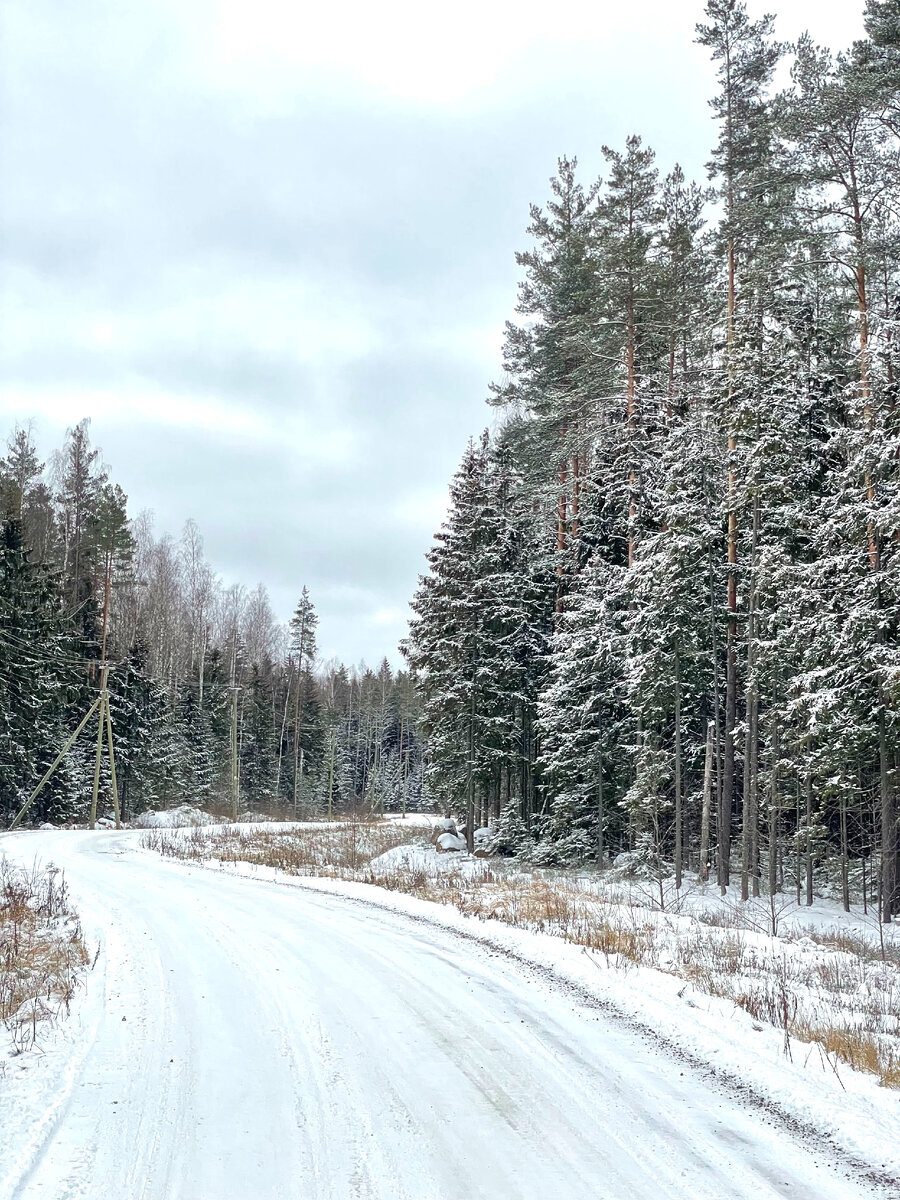 Одна и та же дорога в коттеджный поселок "Синицыно" в разное время года