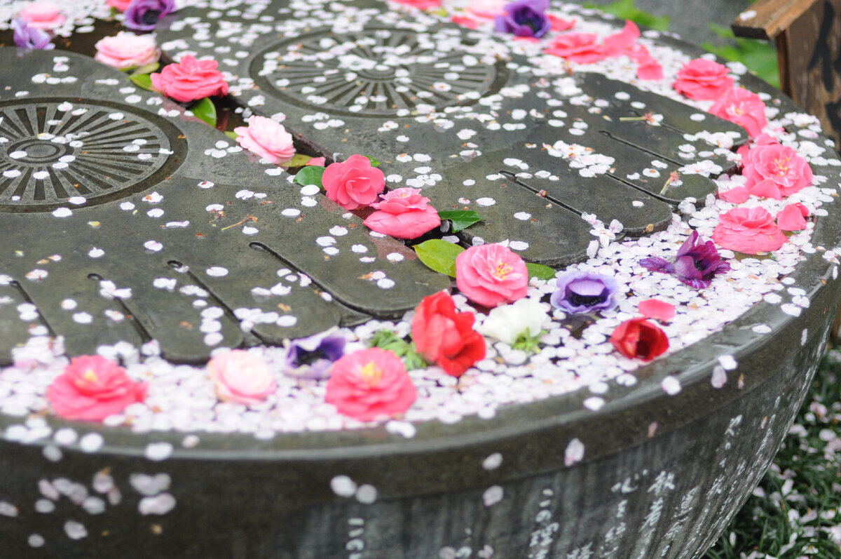 Стопы Будды