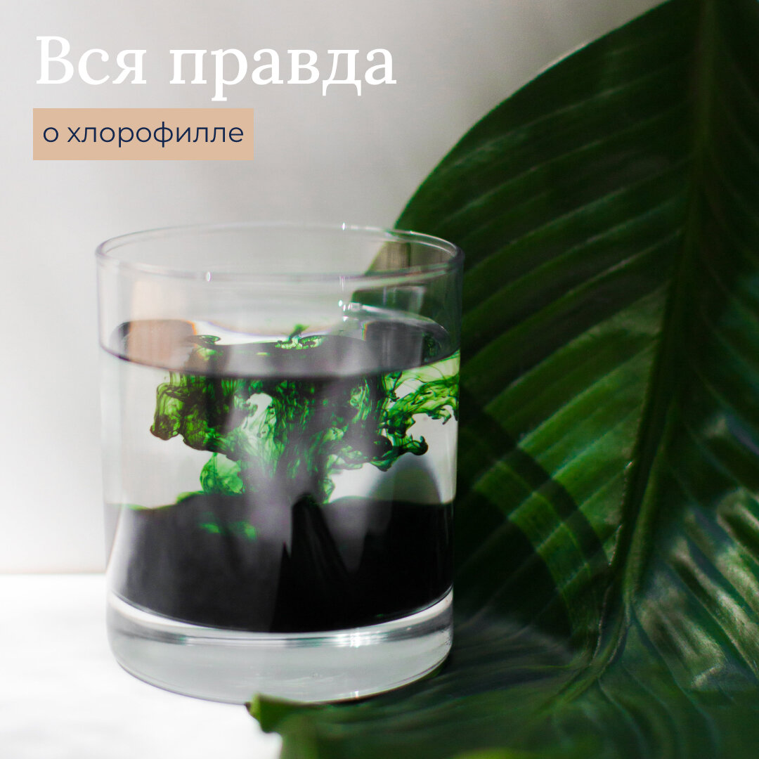 Полезен ли хлорофилл? Читайте и ставьте лайк!
