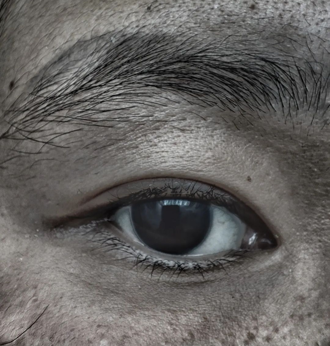 #Россия #Z #своихнебросаем