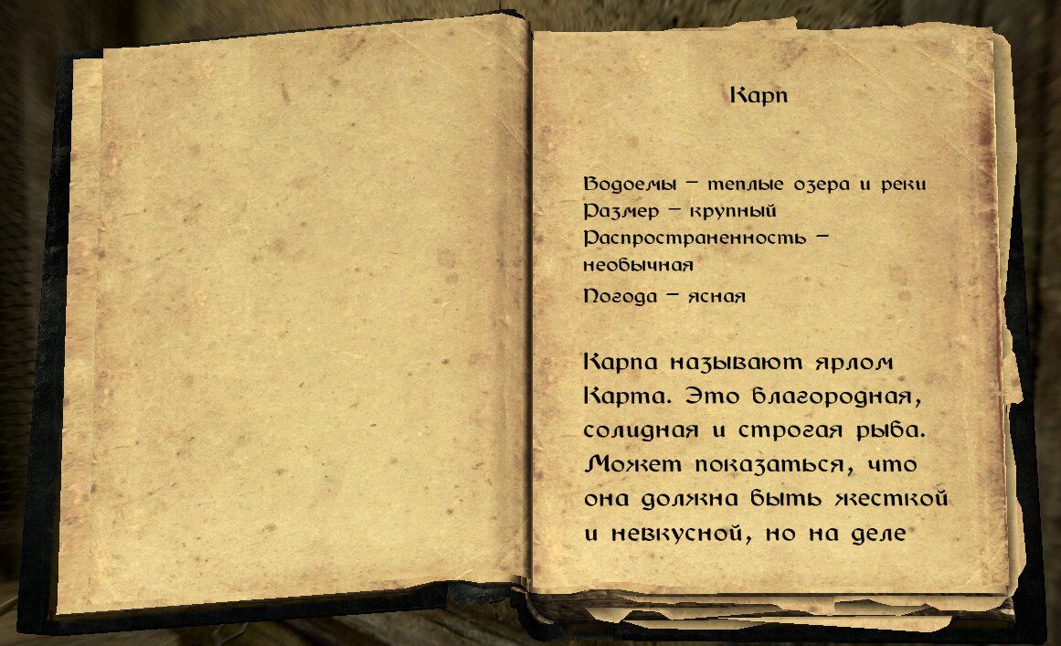 Skyrim Anniversary Edition: квест «Улов дня» | The Elder Scrolls  АпоКриФ  | Дзен