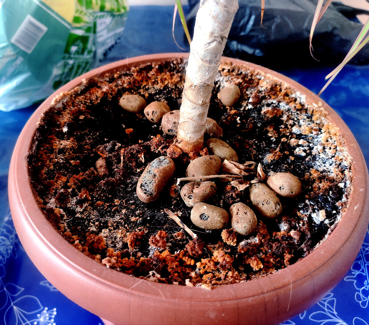 Вот такая вот картина..