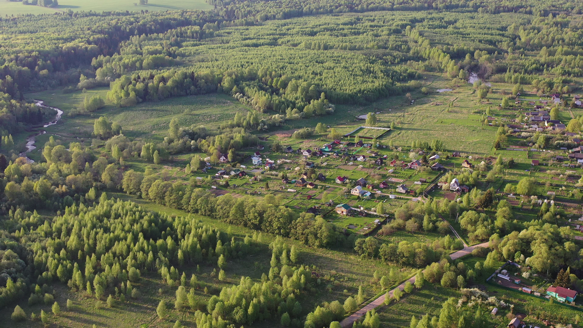 Загородная жизнь. 