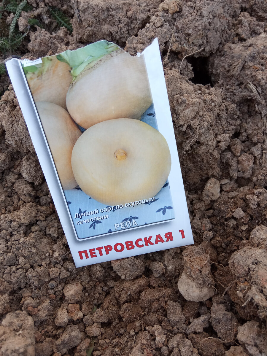 Петровская 1