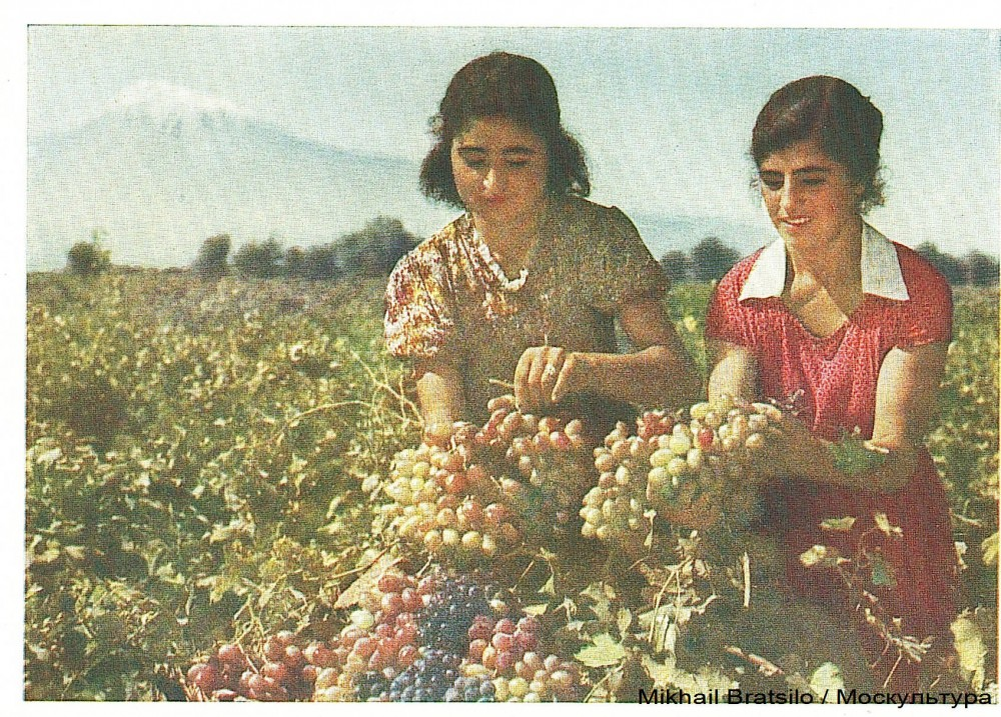 Армянская республика крыма. Виноград Армения Араратская Долина. Армения 1961. Ереван армянской ССР. Армения в Советском Союзе.