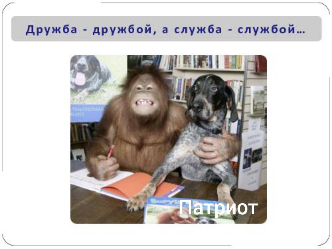 Не в службу а в дружбу. Не в службу а. Дружба дружбой а служба службой. Деловое предложение мем шаблон без текста. Не в службу а.