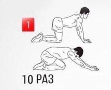 Источник: https://alfagym.ru/