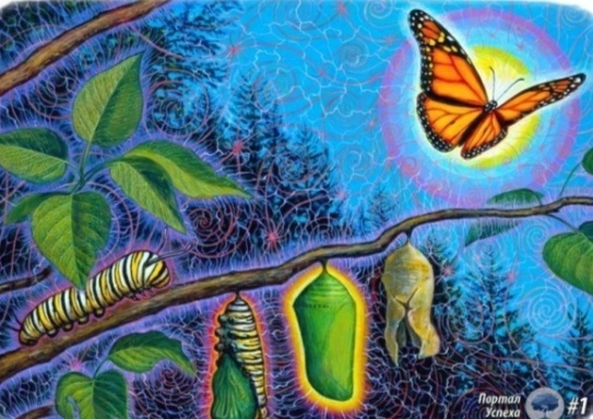 Энергетический прогноз на 13 июня