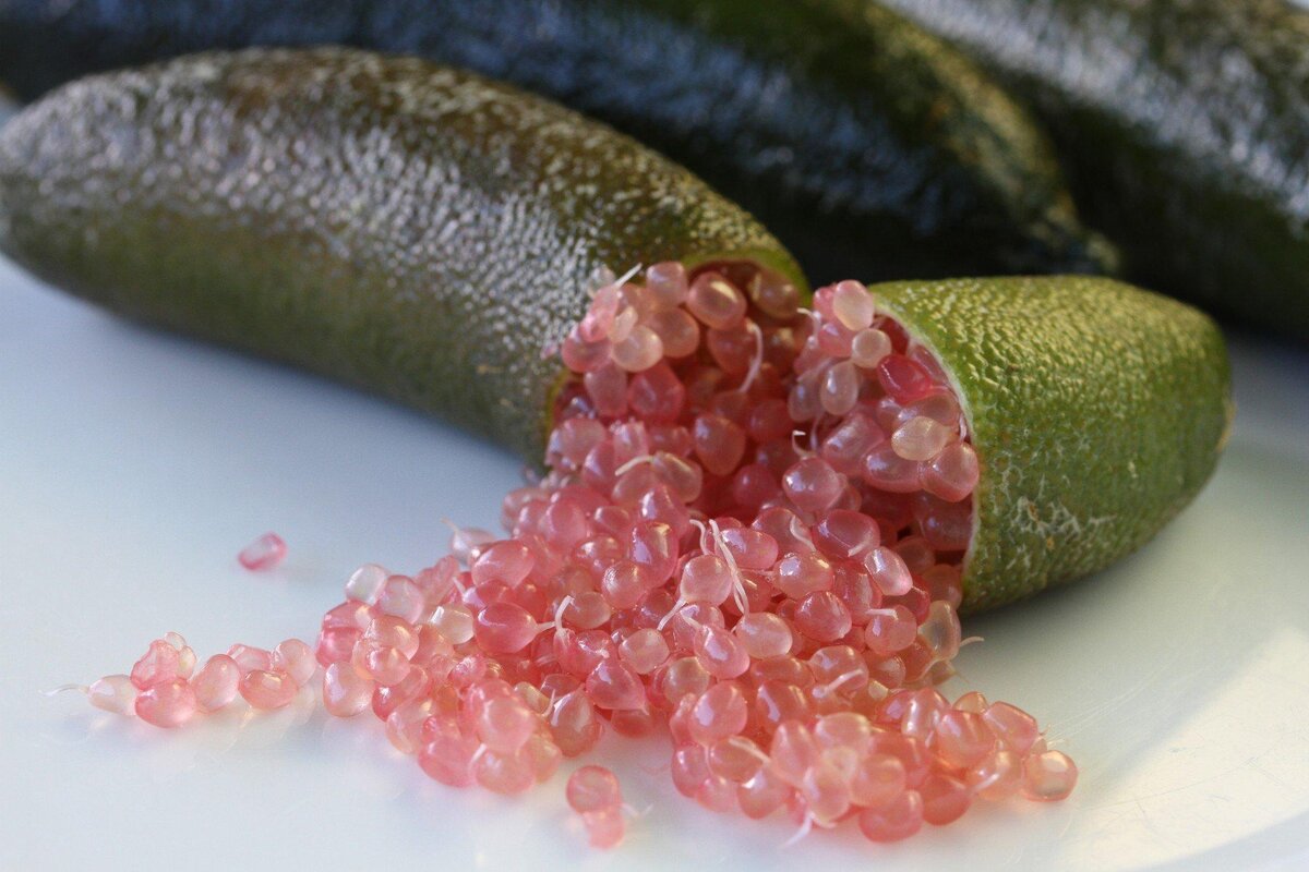 Лаймовая икра