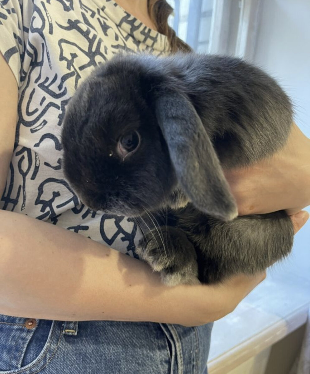 Вот он, еле поймала