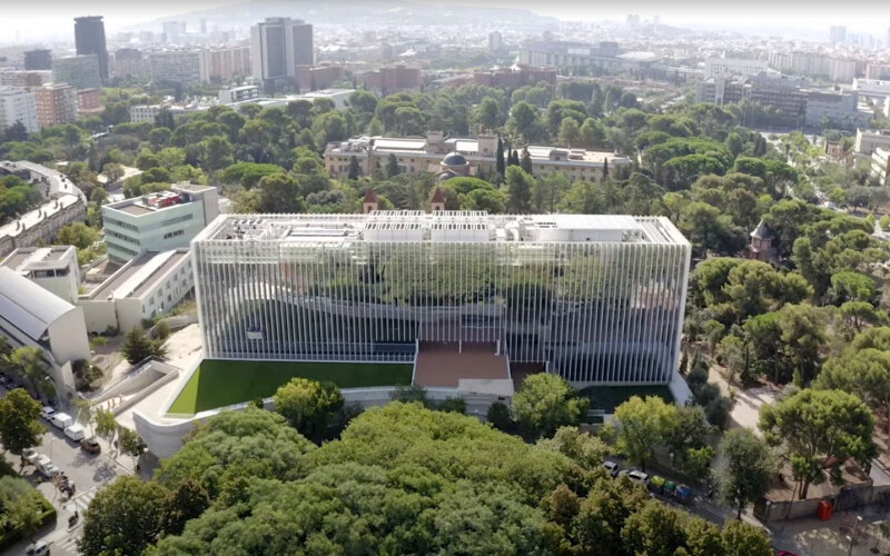 Изображение: BSC