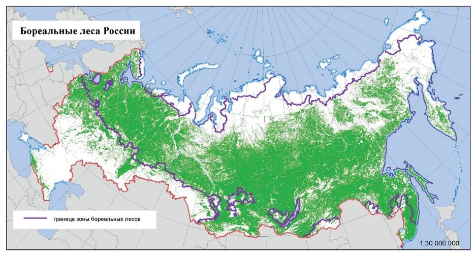 Карта лесов росси - 80 фото