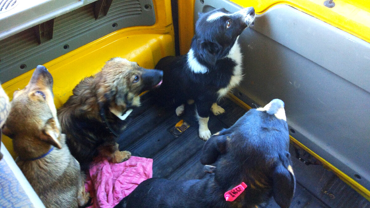 Везунчики едут из ЦБЖ.