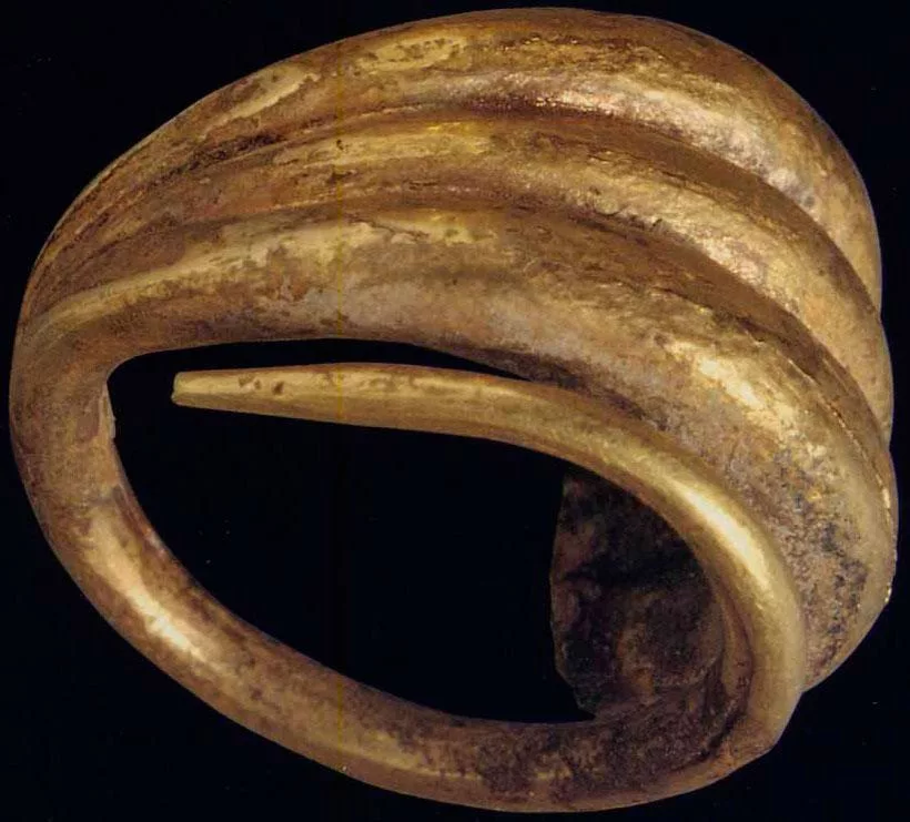 Бронзовое кольцо история обычной семьи 27. Кольца бронзовый век. Древнее бронзовое кольцо. Перстень бронзовый век. Бронзовые кольца сарматов.