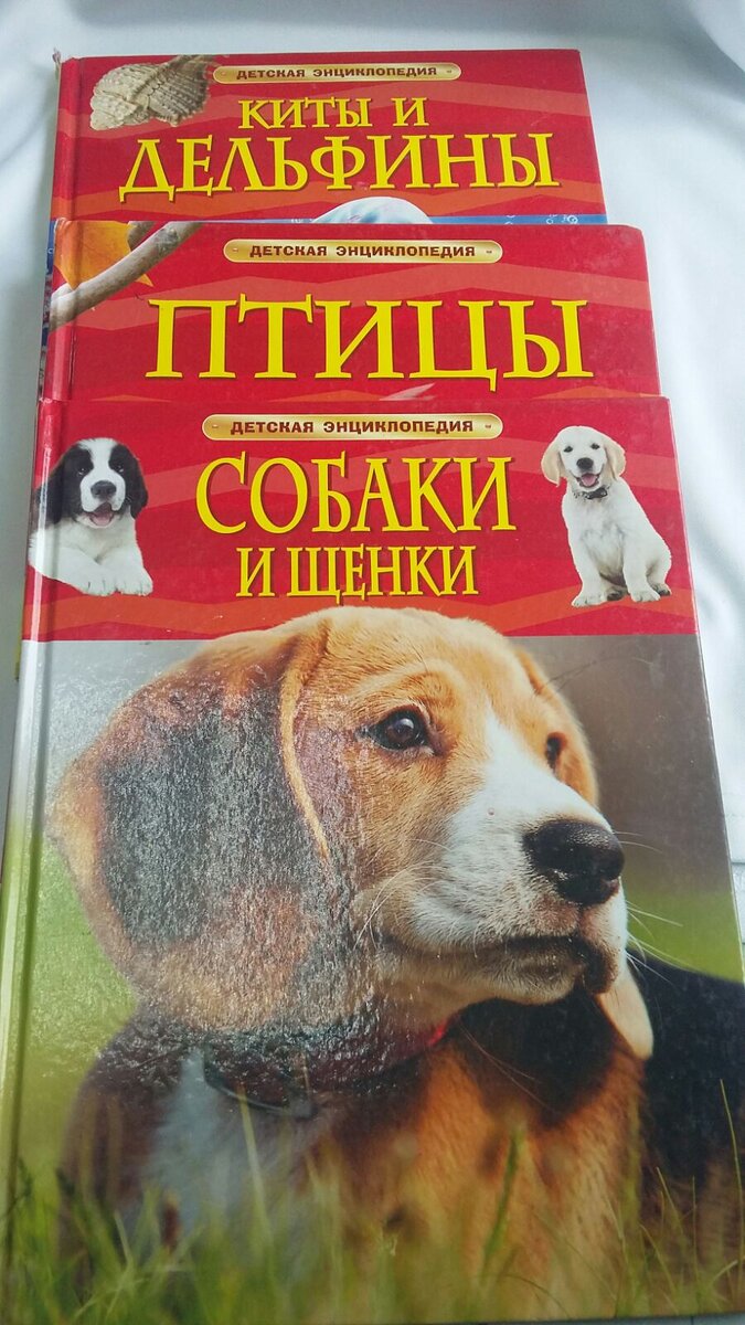 Это небольшая часть наших энциклопедий, самые простые.
