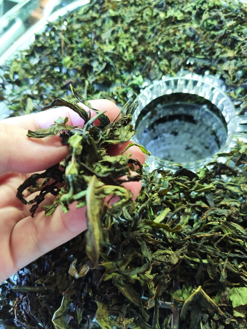 Вот так выглядят абсолютно сухие листики