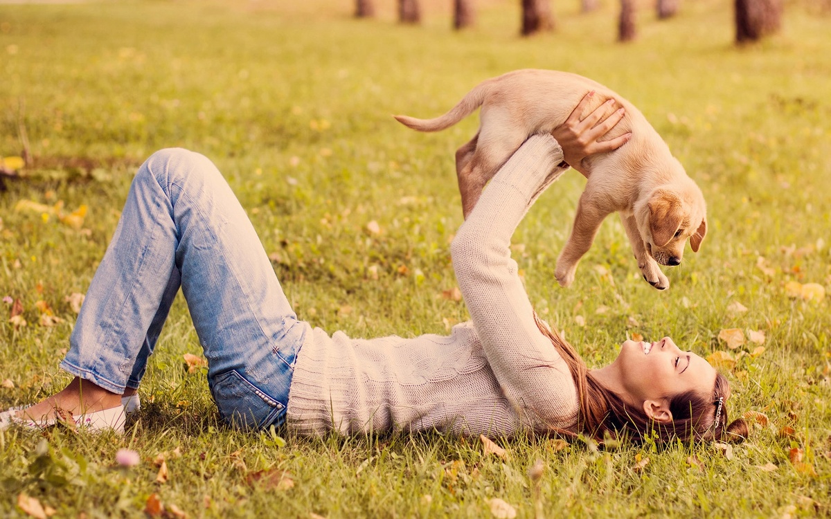 Фото: https://yobte.ru